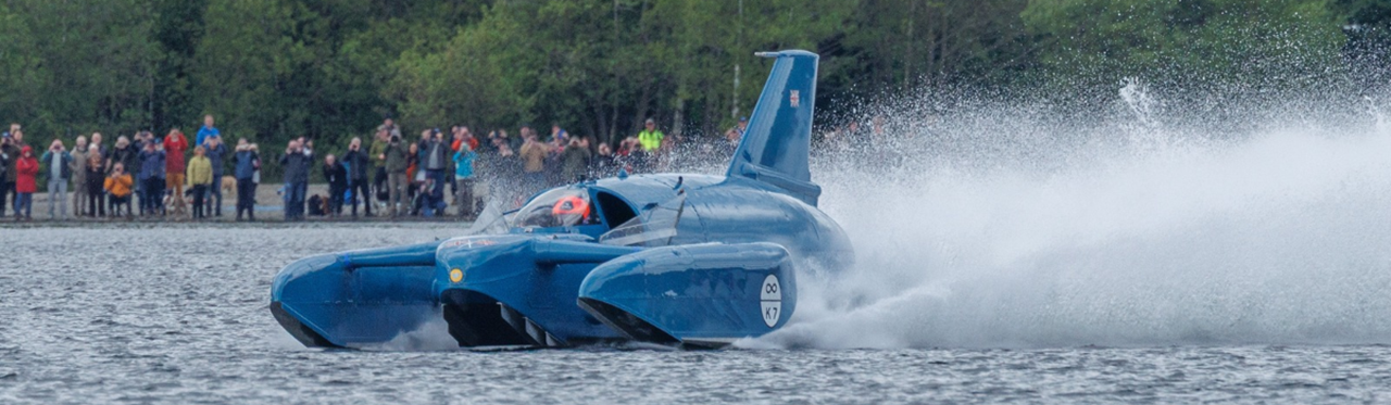 banniere bluebird