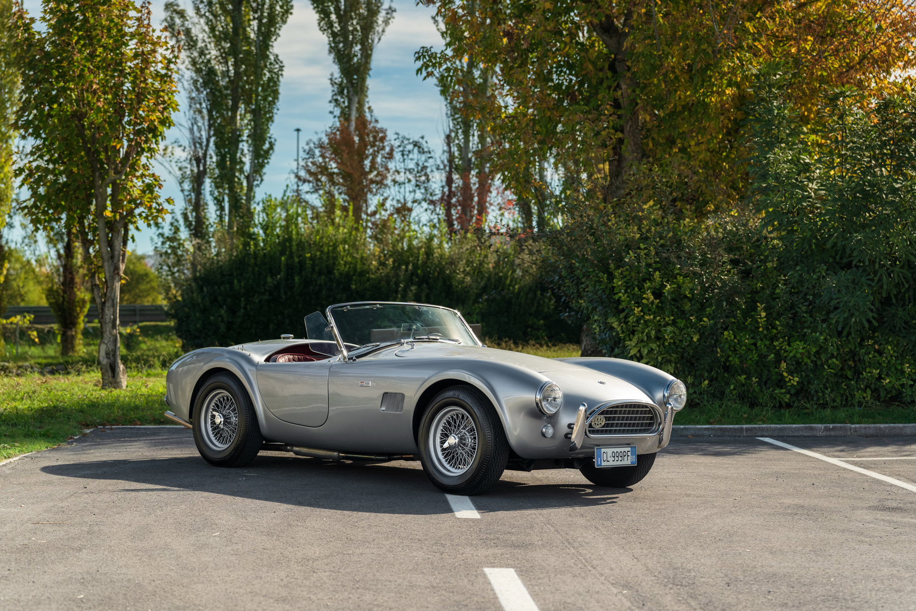 1964 Shelby 289 Cobra_6
